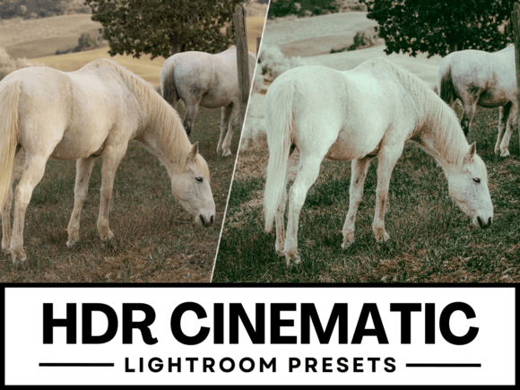 Download 3 HDR Cinematic Lightroom Presets - Cinematic lightroom presets Collection