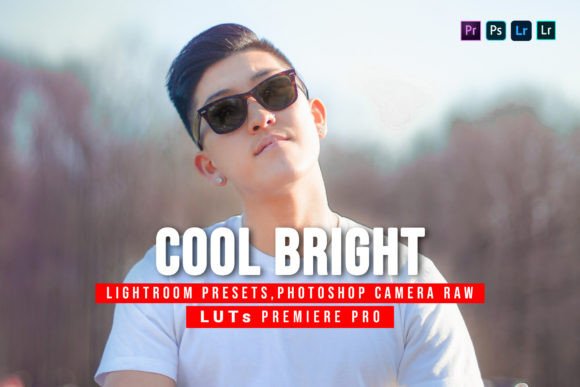 Download 10 Cool Bright Presets and Luts - Bright presets Collection