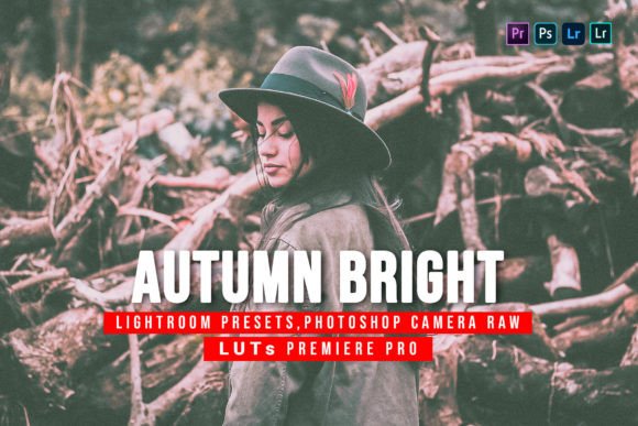 Download 10 Autumn Bright Presets and Luts - Bright presets Collection